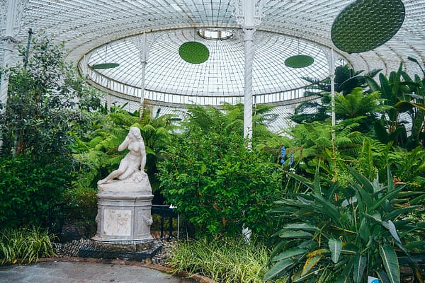 Glasgow Botanic Gardens Inside Kibble Palace of Glasgow Botanic Gardens with view of a statue amongst a forest of trees and ferns.