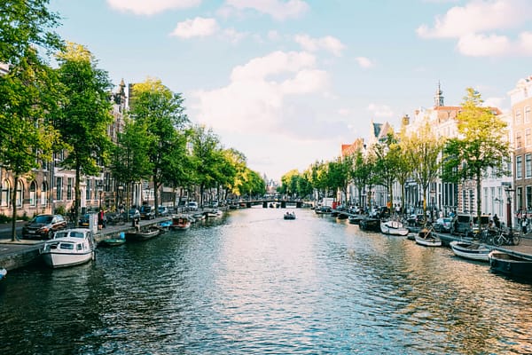 Adrien Olichon - Unsplash River adorned with trees in the Netherlands.