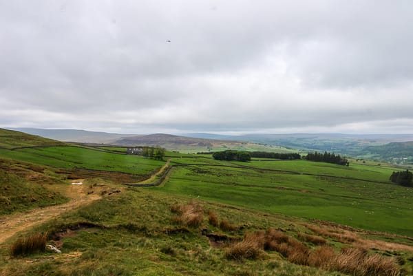 A trail passing through rolling green fields, with expansive views over Weardale on the horizon.