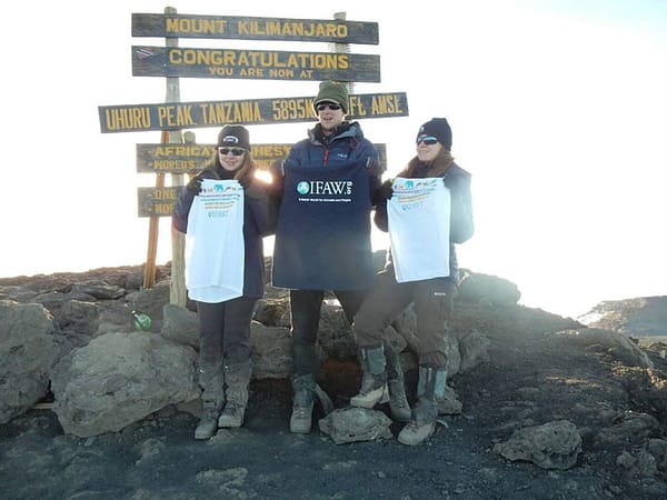 Team photo at Uhuru Peak, the summit of Mount Kilimanjaro.